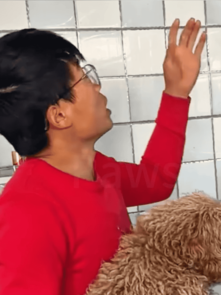 Man with glasses petting dog in shelter.