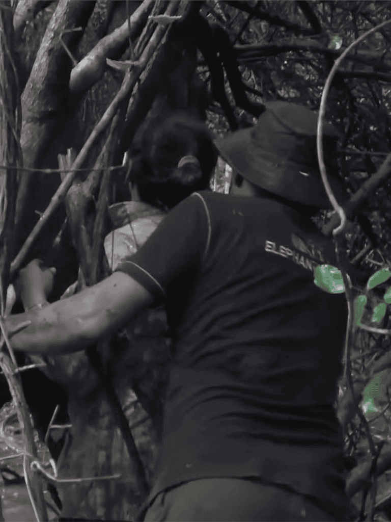 Dog rescue mission in dense jungle forest with rescue worker and dog.