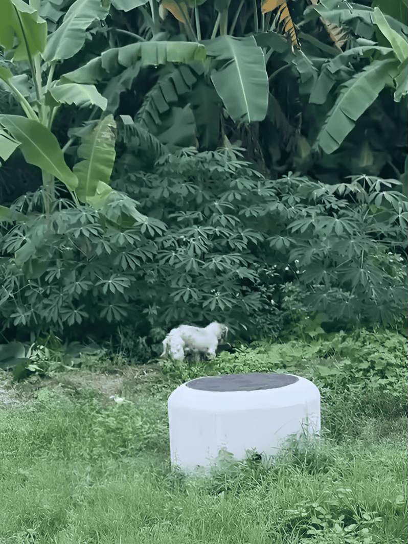 Dog park scene with lush green plants, a small white dog, and a stylish water fountain, ideal for pet-friendly outdoor spaces.