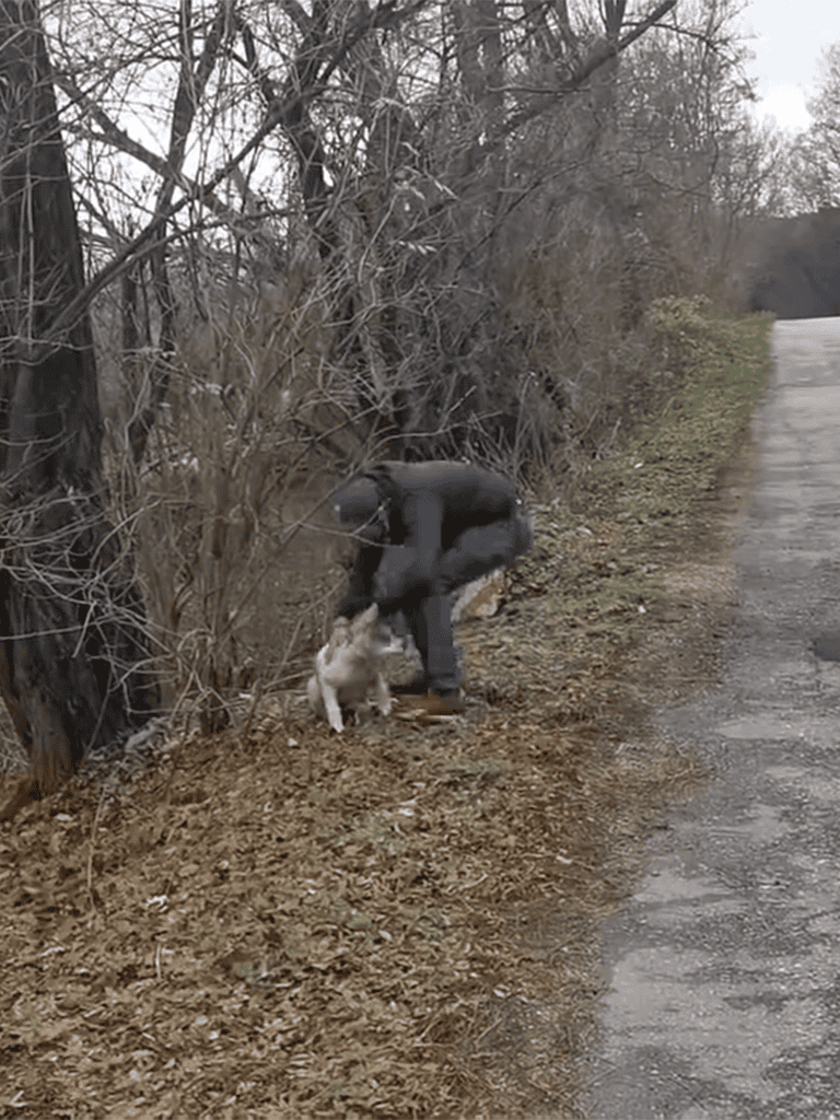 A person rescuing a dog from roadside in a rural area during winter.