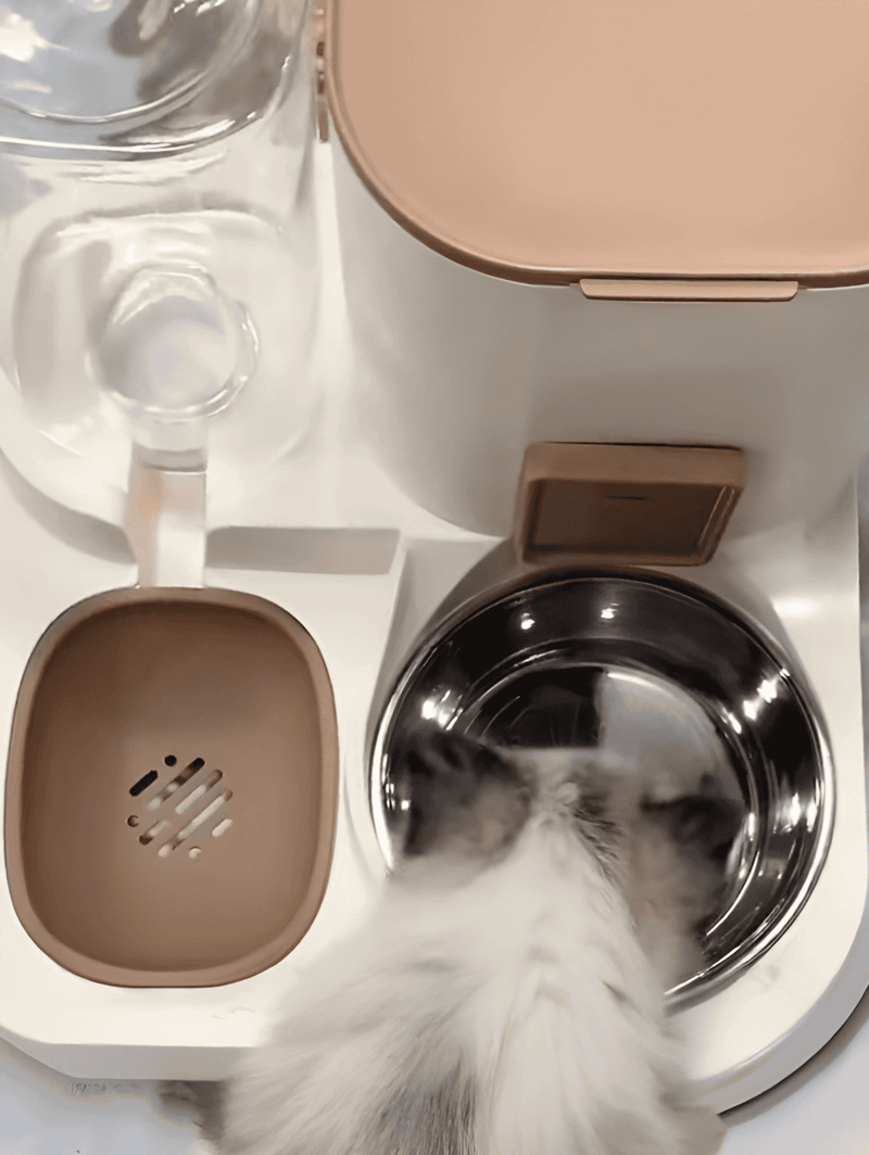 High-quality dog feeding station with water dispenser and stainless steel bowl for optimal pet care and hydration.